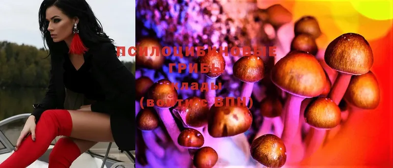 OMG   Валуйки  Галлюциногенные грибы MAGIC MUSHROOMS 